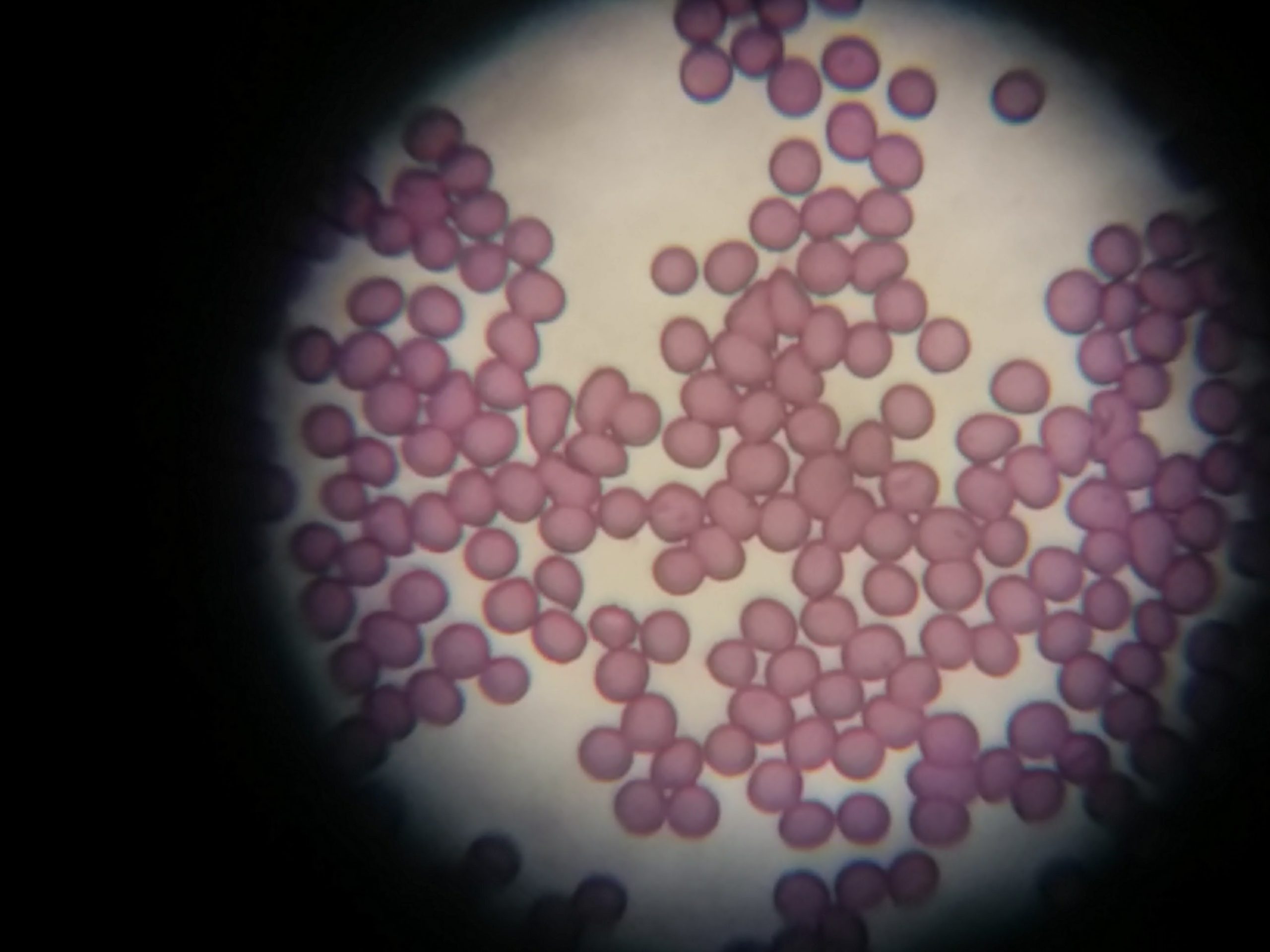 Laboratorio-2-scaled