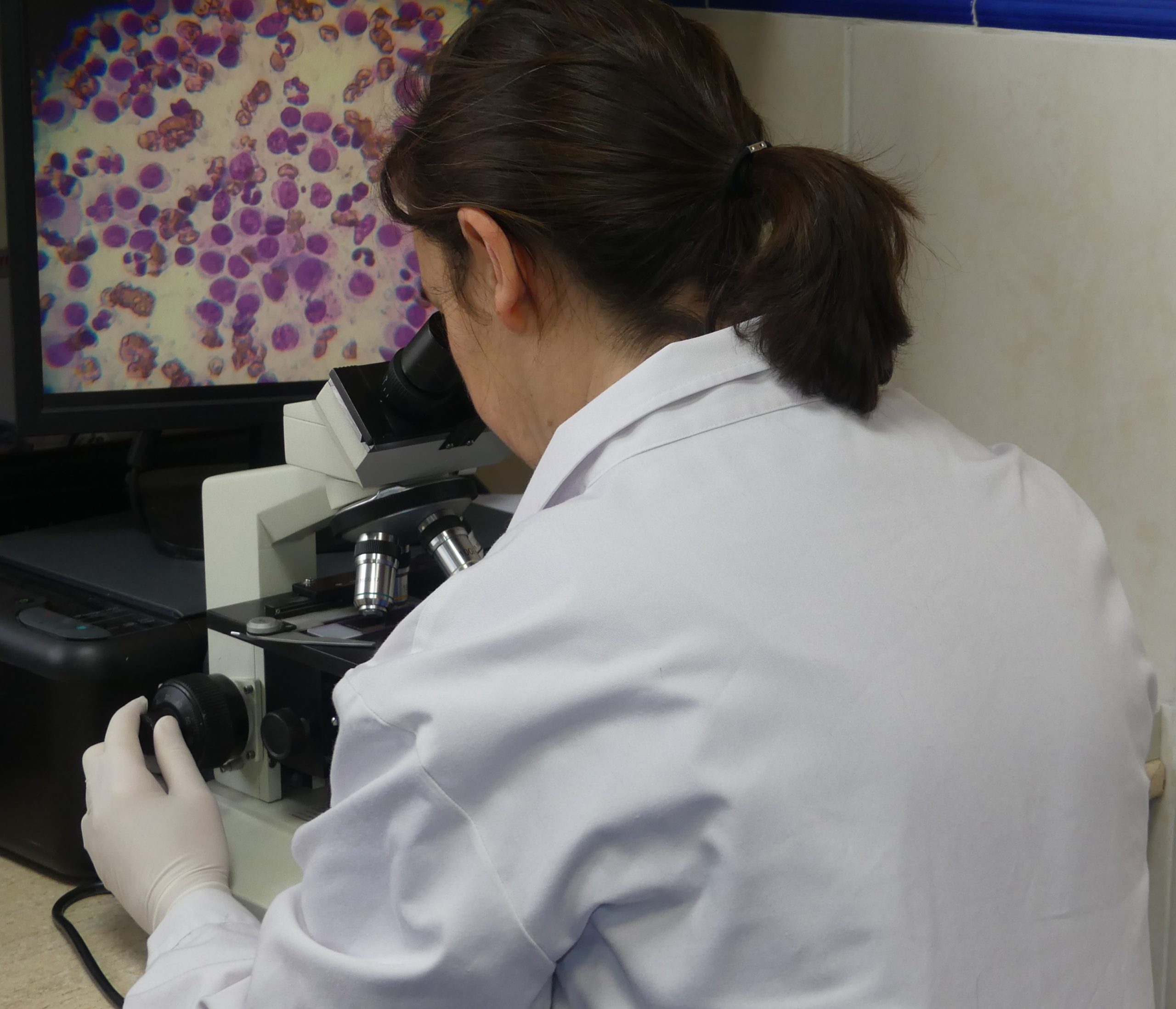 Laboratorio-scaled